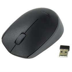 Мышь беспроводная LOGITECH M171, 2 кнопки + 1 колесо-кнопка, оптическая, черная, 910-004424 - фото 13747847