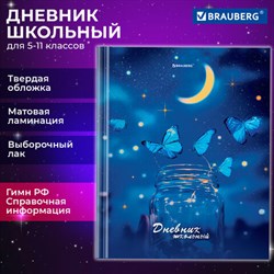 Дневник 5-11 класс 48 л., твердый, BRAUBERG, выборочный лак, с подсказом, "Бабочки", 107198 - фото 13764154