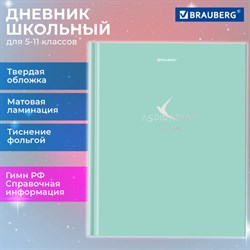 Дневник 5-11 класс 48 л., твердый, BRAUBERG, фольга, с подсказом, "Aspiration", 107199 - фото 13767602