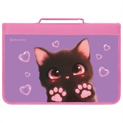 Папка на молнии BRAUBERG А4 с ручкой, с органайзером, 1 отделение, "Paw prints", 273383 - фото 14225188