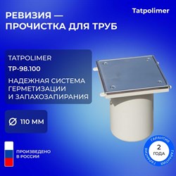 Лючок прочистка-ревизия Татполимер ТП-98.100 - фото 14720617
