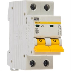Автомат IEK ВА47-29 2п, C, 40А, 4.5кА - фото 14727730