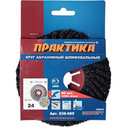 Абразивный торцевой круг ПРАКТИКА 038-685 - фото 14735325