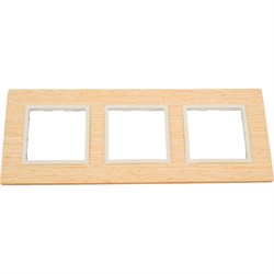 Рамка ЭРА Elegance - фото 14746999