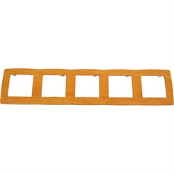 Рамка ЭРА 12500507 Б0014787 - фото 14751176