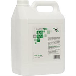 Моющий концентрат для удаления ржавчины, солей жесткости воды, потеков МастерХим САН АКТИВ - фото 14754650