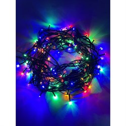 Гирлянда ЭРА ENIN10M - фото 14782644