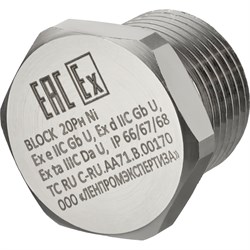 Заглушка ООО "БЛОК" 20 Рн Ni - фото 14788888