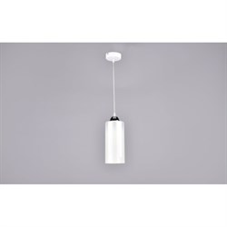 Потолочно-подвесной светильник РОССВЕТ 20477 WT/1P - фото 14800946