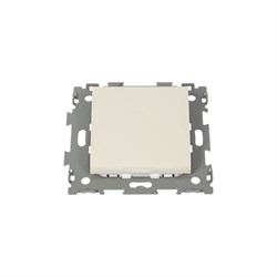 Одноклавишный проходной переключатель CGSS Эстетика - фото 14815473