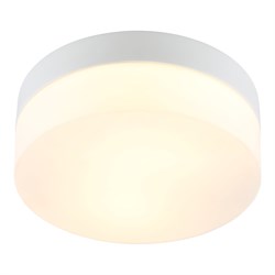 Потолочный светильник Arte Lamp A6047PL-1WH - фото 14816366