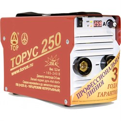 Сварочный инвертор Торус 250 - фото 14837030