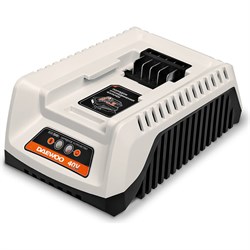 Универсальное зарядное устройство Daewoo DACH 2040Li - фото 14841201