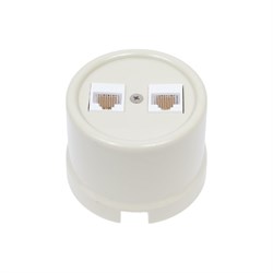 Информационная двойная розетка Bironi B1-302-211 - фото 14849879