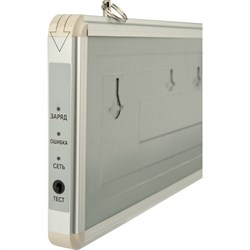 Светодиодный аварийный светильник REXANT ПК - фото 14859177