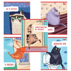 Тетрадь А5 48 л., HATBER скоба, линия, обложка картон, "Кот-обормот" (микс в спайке), 080206, 48Т5В2 - фото 14922925