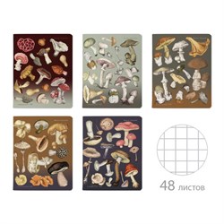 Тетрадь А5, 48 л., АЛЬТ скоба, клетка, матовая ламинация, "Грибная феерия" (5 видов), 7-48-1325 - фото 14924673