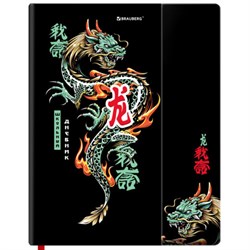 Дневник 1-11 класс 48 л., твердый, BRAUBERG, матовая ламинация, магнитный клапан, закладка-ляссе, с подсказом, "Дракон", 107245 - фото 14996484