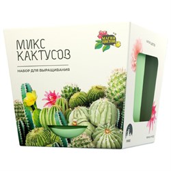 Набор для выращивания растений МАГИЯ ЦВЕТОВ "Кактусы микс" (горшок, грунт, семена), mf-003 - фото 14999097