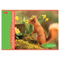 Альбом для рисования А4, 32 л., скоба, обложка картон, HATBER, 205х290 мм, "Белочка пришла" (5 видов), 091519, 32А4В - фото 15020696