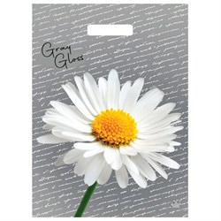 Пакет с вырубной ручкой ПВД, 43х31,5 см, "Грэй Глосс Ромашка", 50 мкм, н00269304 - фото 15060910