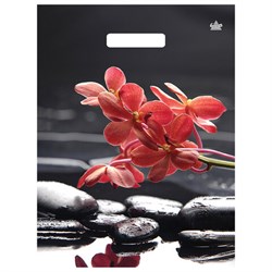 Пакет с вырубной ручкой ПВД ламинированный, 40х31 см, "Гармония", 60 мкм, н00268708 - фото 15060917