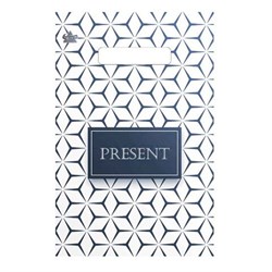 Пакет с вырубной ручкой ПВД, 30х20 см, "Презент", 30 мкм, н00255554 - фото 15060927