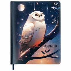 Дневник 1-11 класс 48 л., кожзам (твердая с поролоном), печать, наклейки, BRAUBERG, "Сова", 106947 - фото 15087351