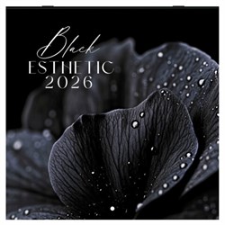 Календарь настенный перекидной 2026 г., BRAUBERG, 12 листов, 28,5х28,5 см, "Black esthetic", 116927 - фото 15141897