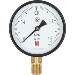 Манометр BD ДМ 1 Т2 100 Р - фото 15245485