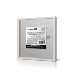 Холсты на подрамнике, набор 2 штуки, BRAUBERG ART BASIC, 20х20 см, 280 г/м2, хлопок, грунт, 192670 - фото 15252526