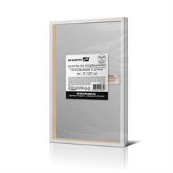 Холсты на подрамнике, набор 2 штуки, BRAUBERG ART BASIC, 20х30 см, 280 г/м2, хлопок, грунт, 192671 - фото 15252527