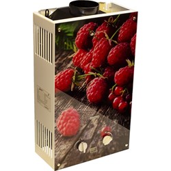 Газовый проточный водонагреватель WERTRUS 10EG BERRY - фото 15535309