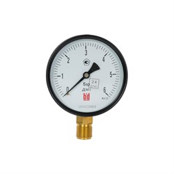 Манометр BD ДМ 1 Т2 100 Р - фото 15637601