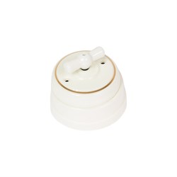 Поворотный выключатель Мезонинъ GE70401-50 - фото 15851550