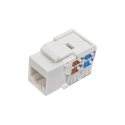 Неэкранированный модуль NETLAN EC-UKJ-UE2-WT-10 - фото 15873495