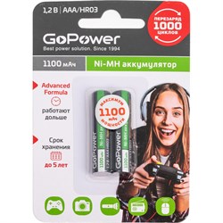 Бытовой аккумулятор GoPower HR03 - фото 15891612