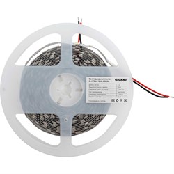 Светодиодная лента Gigant G-HT24V-12W-6500K - фото 15930490