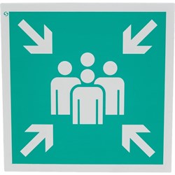 Знак Стандарт Знак Е21 - фото 16070889