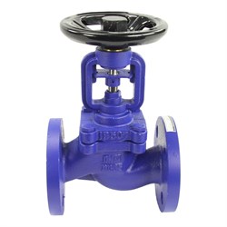 Чугунный фланцевый сильфонный запорный клапан DN.ru v234a - фото 16162349