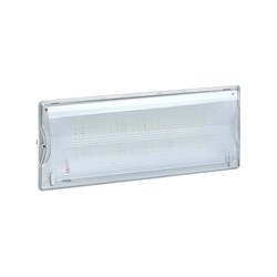 Светильник аварийного освещения EKF SAFEWAY-40P Proxima - фото 16299475