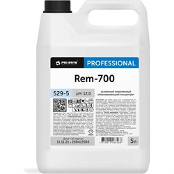 Усиленный низкопенный обезжиривающий концентрат PRO-BRITE REM-700 - фото 16345504