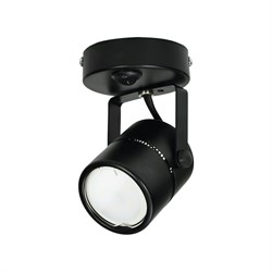 Накладной декоративный светильник Fametto DLC-S612 - фото 16427503