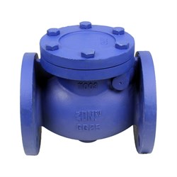 Чугунный фланцевый поворотный обратный клапан DN.ru 302a - фото 16460877