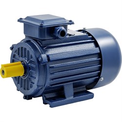 Электродвигатель ТМ БЭЗ ТМ БЭЗ АИР 100S2 IM1081 - фото 16504880