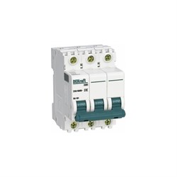 Автоматический выключатель DEKraft ВА101 - фото 16508903