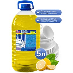 Средство для мытья посуды ЗОЛУШКА М-04-2c - фото 16512024