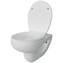 Подвесной унитаз Teymi Hanna Pro - фото 16528226