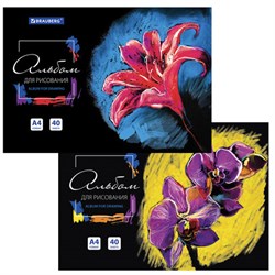 Альбом для рисования А4 40 л., склейка, обложка картон, подложка, BRAUBERG, 205х290 мм, "Blossom", 106330 - фото 16561794