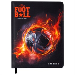 Дневник 1-11 класс 48 л., обложка кожзам (твердая с поролоном), 3D-элемент, BRAUBERG, "Футбол", 107220 - фото 16561836